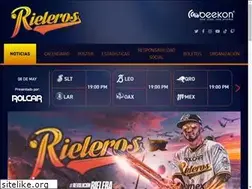 Sites similar to rielerosags.com