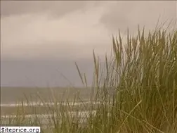 Sites similar to rienkstuut.nl