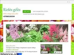 Sites similar to riesesgeles.weebly.com