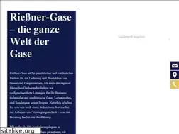 Sites similar to riessner.de