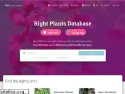 Sites similar to rightplants4me.co.uk