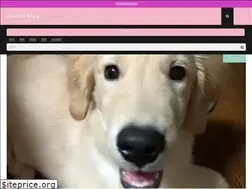 Sites similar to rikuism.work