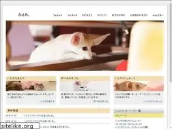 Sites similar to rinasuzuki.com