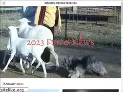Sites similar to rinchentibetanterriers.com