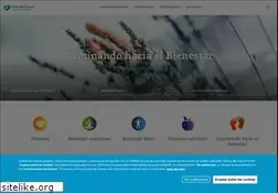 Sites similar to rincondelasalud.com