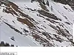 Sites similar to rindererhof.at
