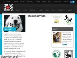Sites similar to ringdogrescue.org