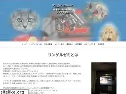 Sites similar to ringerseminar.com