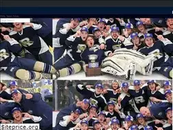 Sites similar to ringgoldhockey.com