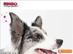 Sites similar to ringo.com.pa
