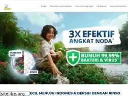 Sites similar to rinso.com