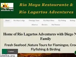 Sites similar to riolagartosexpeditions.com