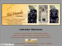 Sites similar to rionevado.com