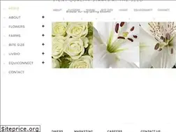 Sites similar to rioroses.com