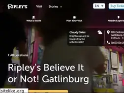 Sites similar to ripleysgatlinburg.com