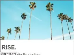 Sites similar to risedesigns.com