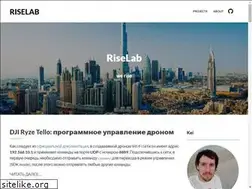 Sites similar to riselab.ru