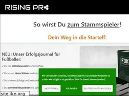 Sites similar to risingpro.de