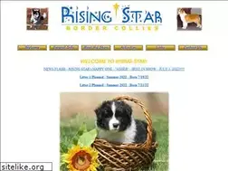 Sites similar to risingstarbordercollies.com