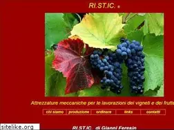 Sites similar to ristic.it