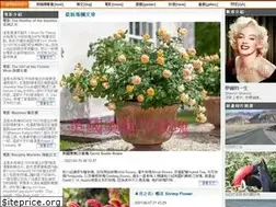 Sites similar to ritagiang.com