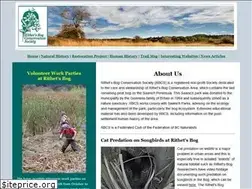 Sites similar to rithetsbog.org