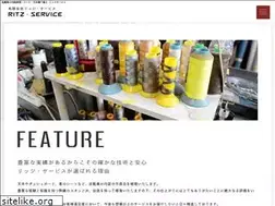 Sites similar to ritz-service.com