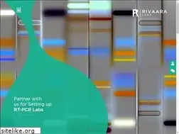 Sites similar to rivaaralabs.com