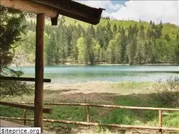 Sites similar to riverratstrappingsupplies.com