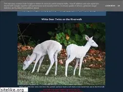 Sites similar to riverwalkpics.blogspot.com