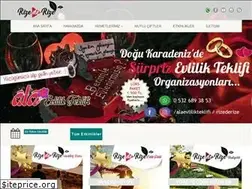 Sites similar to rizederize.com