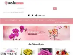 Sites similar to rizemodacicek.com