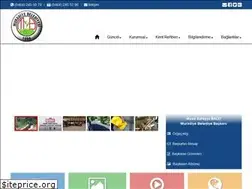 Sites similar to rizemuradiye.bel.tr