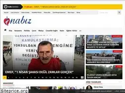 Sites similar to rizenabiz.com