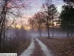 Sites similar to rizetours.xyz