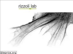 Sites similar to rizzoli-lab.de