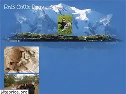 Sites similar to rnbcattledogs.com