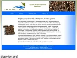 Sites similar to rntconsulting.net