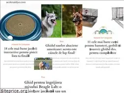 Sites similar to ro.acelenakliye.com