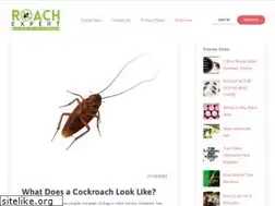 Sites similar to roachexpert.com