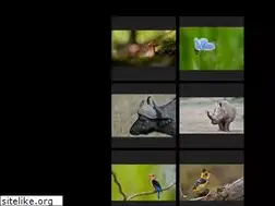 Sites similar to robert-goppelt.de