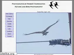 Sites similar to robert-harrington.com