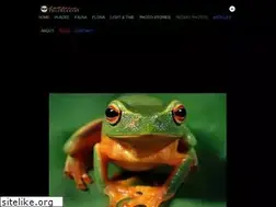 Sites similar to robertashdown.com