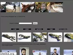 Sites similar to robertgoddyn.com
