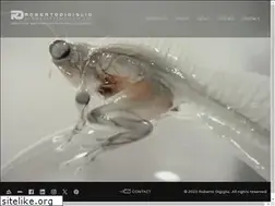 Sites similar to robertodigiglio.com