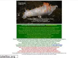 Sites similar to robots4farms.com