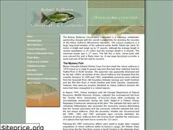 Sites similar to robustredhorse.com