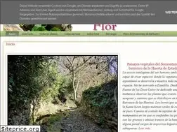 Sites similar to rocayflor.blogspot.com