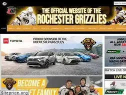 Sites similar to rochestergrizz.com