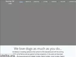 Sites similar to rockingmlabs.com